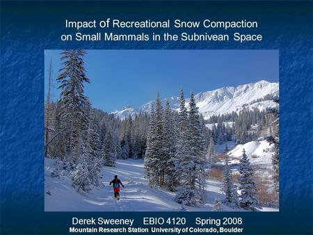Impact of Recreational Snow Compaction on Small Mammals in the Subnivean Space Derek Sweeney EBIO 4120 Spring 2008 Mountain Research Station University.