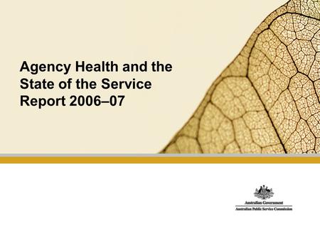 Agency Health and the State of the Service Report 2006–07.