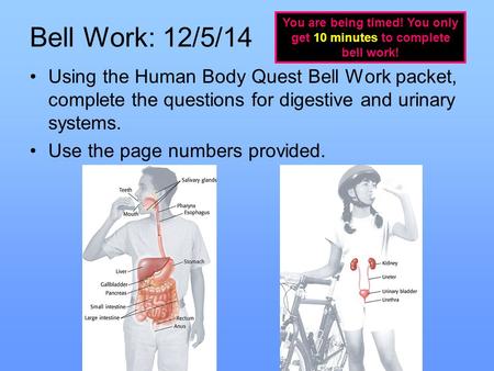 Bell Work: 12/5/14 Using the Human Body Quest Bell Work packet, complete the questions for digestive and urinary systems. Use the page numbers provided.