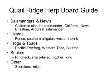 Quail Ridge Herp Board Guide Salamanders & Newts –California slender salamander, California Newt, Ensatina, Arboreal salamander Lizards –Fence, southern.