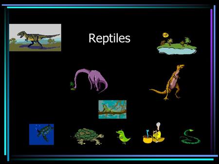 Reptiles. 310 million years ago… reptiles were the first vertebrates to make the complete transition to life on land limited competition for the insects.