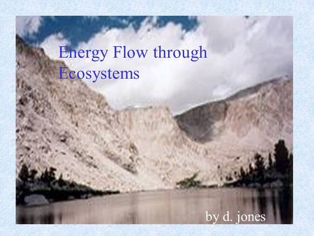 Energy Flow through Ecosystems by d. jones. Habitat= the type of place where an organism lives determined by plant communities –community = all of the.