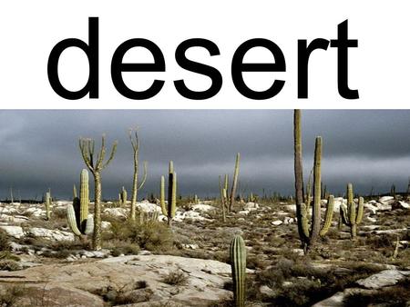 Desert. scorpion Has eight legs with tiny claws Has poison on a stinger on the end of its tail Eat insects and mice.
