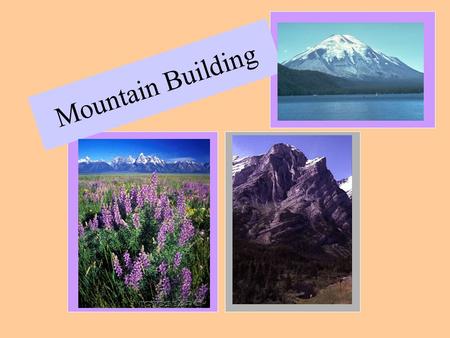 Mountain Building. Folded Mountain -compressional forces squeeze the rock layers from opposite sides causing it to buckle.