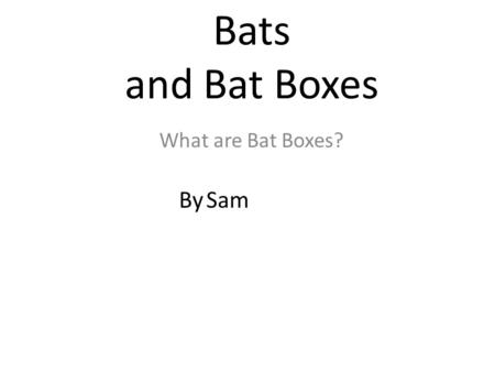 Bats and Bat Boxes What are Bat Boxes? By Sam. Here are some names of bats that live in Washington. Western Small-footed bat Western long-ear bat Big.