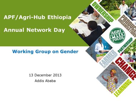 APF/Agri-Hub Ethiopia Annual Network Day Working Group on Gender 13 December 2013 Addis Ababa.