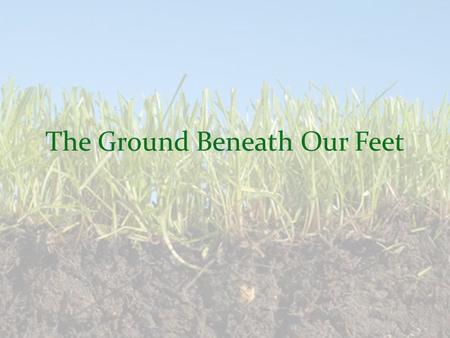 The Ground Beneath Our Feet. What Makes Up Healthy Soil? Mineral fragments, humus, air, water, and living things – Plant roots, Insects, Worms Humus –