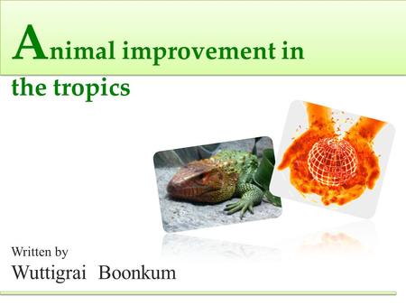 A nimal improvement in the tropics Written by Wuttigrai Boonkum.