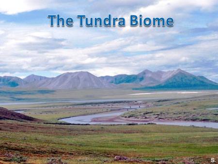 The Tundra Biome.