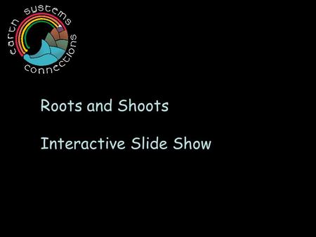 Roots and Shoots Interactive Slide Show. Roots of the world… p Come in all s H ap Es and s i z e s !