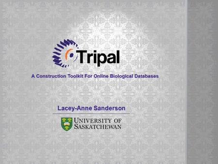 A Construction Toolkit For Online Biological Databases Lacey-Anne Sanderson.