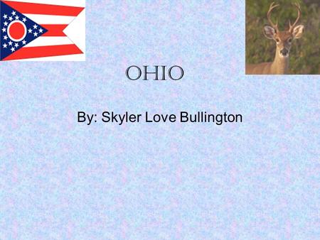Ohio By: Skyler Love Bullington. Overview In 2007 an estimated 11.5 million people lived within Ohio 44,828 square miles. That means 99 people live per.