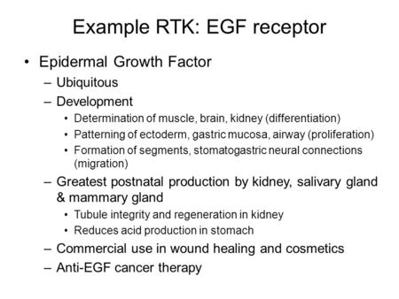 Example RTK: EGF receptor