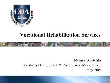 Vocational Rehabilitation Services Melissa Deletetsky Standards Development & Performance Measurement May 2006.