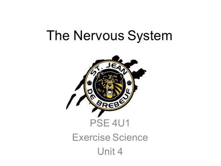 The Nervous System PSE 4U1 Exercise Science Unit 4.