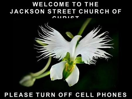 WELCOME TO THE JACKSON STREET CHURCH OF CHRIST PLEASE TURN OFF CELL PHONES.