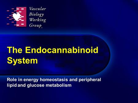 The Endocannabinoid System Role in energy homeostasis and peripheral lipid and glucose metabolism.