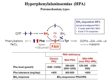 Phe Tyr PAH BH 4 BH 2 GTP BH 4 -dependent HPA (atypical/malignant PKU) Usually mild PKU/HPA Early CNS symptoms Fe O 2 PAH deficiency Classic PKU Mild PKU.