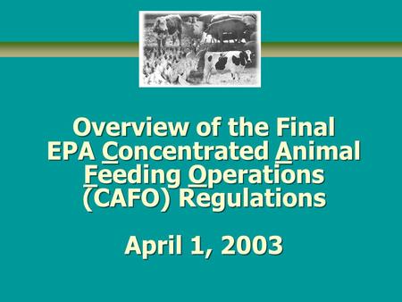 Overview of the Final EPA Concentrated Animal Feeding Operations (CAFO) Regulations April 1, 2003.
