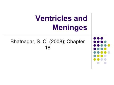 Ventricles and Meninges
