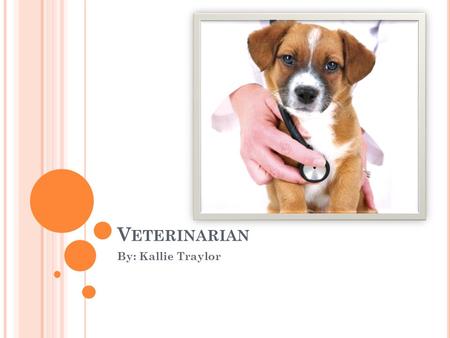 V ETERINARIAN By: Kallie Traylor. B RIEF D ESCRIPTION Vets are commonly known as animal doctors. They wear lab coats, they use needles and scalpels, and.