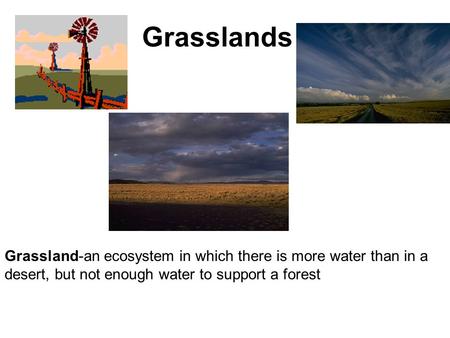 Grasslands Grassland-an ecosystem in which there is more water than in a desert, but not enough water to support a forest.