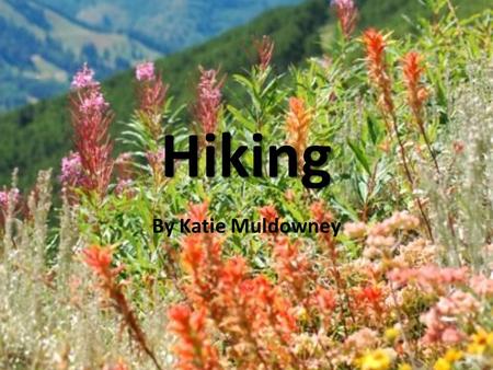Hiking By Katie Muldowney. I chose this topic because… Because I love to hike -one place where I can completely relax - I also love wearing bandanas,