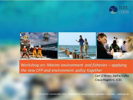 Workshop on: Marine environment and fisheries – applying the new CFP and environment policy together Carl O’Brien, Defra/Cefas Claus Hagebro, ICES.
