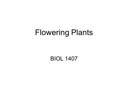 Flowering Plants BIOL 1407. Flowering Plants Seed plants Ovules are enclosed in an ovary Ovary  fruit around seeds Photo Credit: BIOL 1407 student,