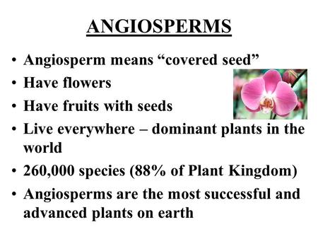 ANGIOSPERMS Angiosperm means “covered seed” Have flowers