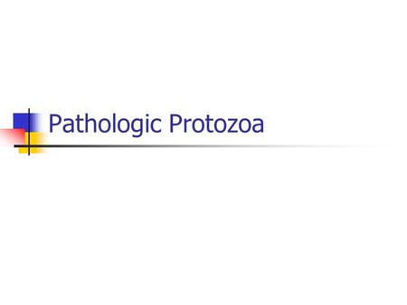 Pathologic Protozoa.