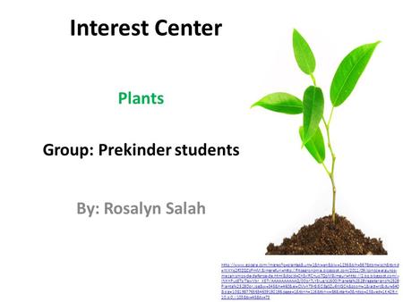 Interest Center Plants Group: Prekinder students By: Rosalyn Salah  =WXYq2f0ZQCzPmM:&imgrefurl=http://fitoagronomia.blogspot.com/2011/09/conoce-algunos-