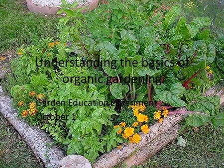 Understanding the basics of organic gardening Garden Education Experiment October 1.