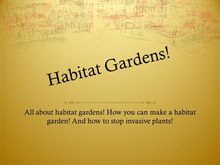 Habitat Gardens! All about habitat gardens! How you can make a habitat garden! And how to stop invasive plants!