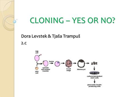 CLONING – YES OR NO? Dora Levstek & Tjaša Trampuš 2.c.