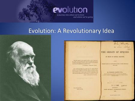 Evolution: A Revolutionary Idea A. What is Evolution? 1. Several definitions a. descent with modification (Darwin) b. change in gene frequencies within.
