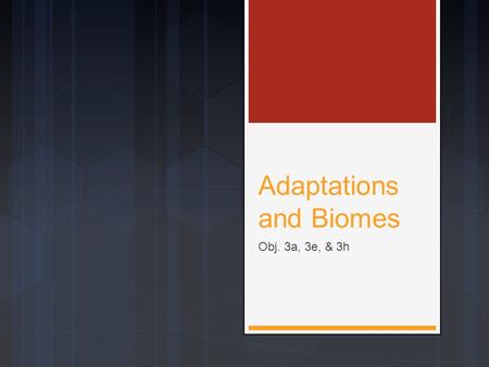 Adaptations and Biomes