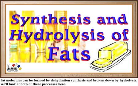 Fat molecules can be formed by dehydration synthesis and broken down by hydrolysis. We’ll look at both of these processes here.