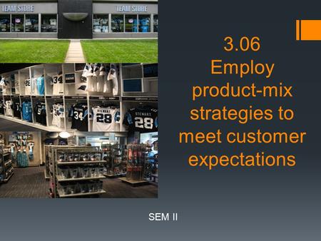 3.06 Employ product-mix strategies to meet customer expectations SEM II.