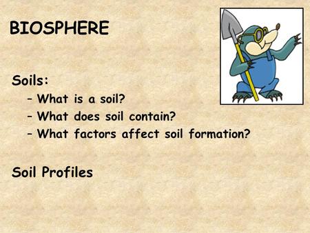 BIOSPHERE Soils: Soil Profiles What is a soil? What does soil contain?