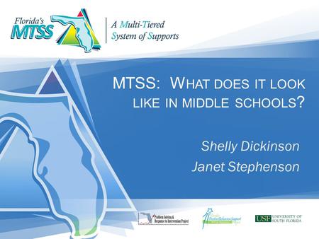 MTSS: W HAT DOES IT LOOK LIKE IN MIDDLE SCHOOLS ? Shelly Dickinson Janet Stephenson.