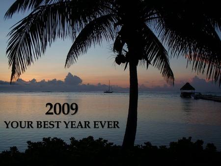 2009 YOUR BEST YEAR EVER.  The Perfect Product for your Health Plan A  The Perfect Product for your Financial Plan B.