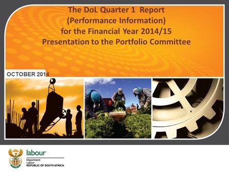 The DoL Quarter 1 Report (Performance Information) for the Financial Year 2014/15 Presentation to the Portfolio Committee OCTOBER 2014.