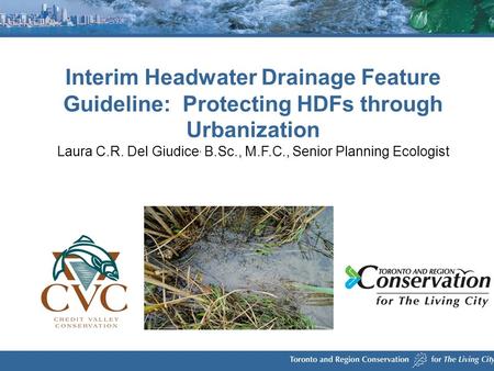 Interim Headwater Drainage Feature Guideline: Protecting HDFs through Urbanization Laura C.R. Del Giudice, B.Sc., M.F.C., Senior Planning Ecologist.