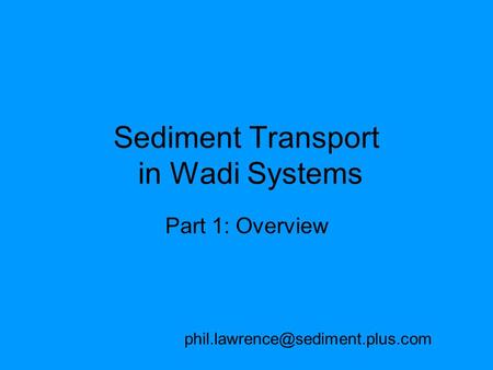 Sediment Transport in Wadi Systems Part 1: Overview