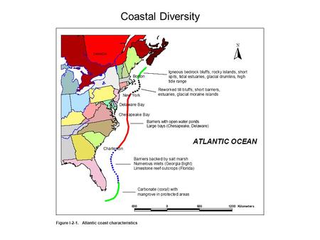 Coastal Diversity. Atlantic North: Glaciated Coast Coasts are deeply indented and bordered by numerous rocky islands. The embayments usually have straight.