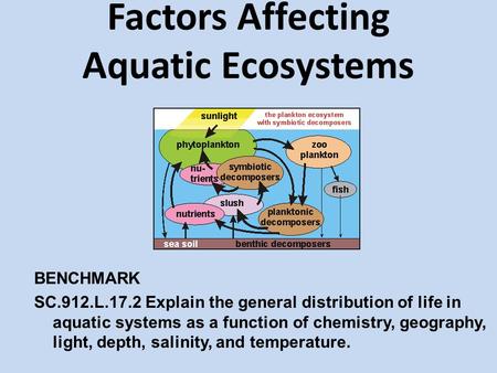 Factors Affecting Aquatic Ecosystems