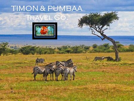 TIMON & PUMBAA Travel Co.. Location Features Large expanse of grassland with punctuated trees and shrubs Trees are Characteristically flat topped and.