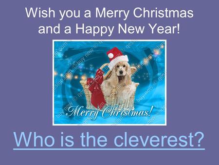 Wish you a Merry Christmas and a Happy New Year! Who is the cleverest?