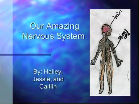 By: Hailey, Jessie, and Caitlin Our Amazing Nervous System Our Amazing Nervous System.